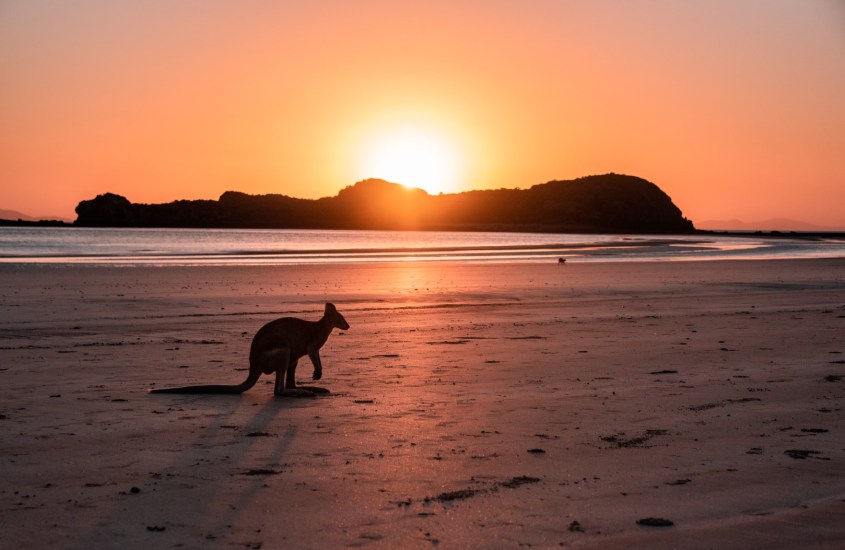 Luxury Travel Australia: Discover the Best Seasons to Explore the Country in Style